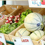 Visuel d'illustration du documentaire " Le début de la faim"