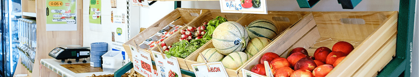 Visuel d'illustration du documentaire " Le début de la faim"