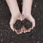 Photo de mains tenant de la terre au dessus du sol