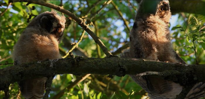 Documentaire_ en quête de nature