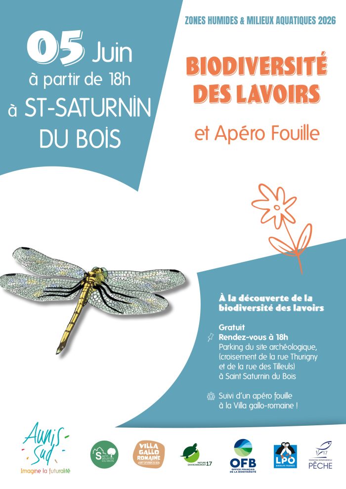 Affiche 5 juin Lavoirs St Sat